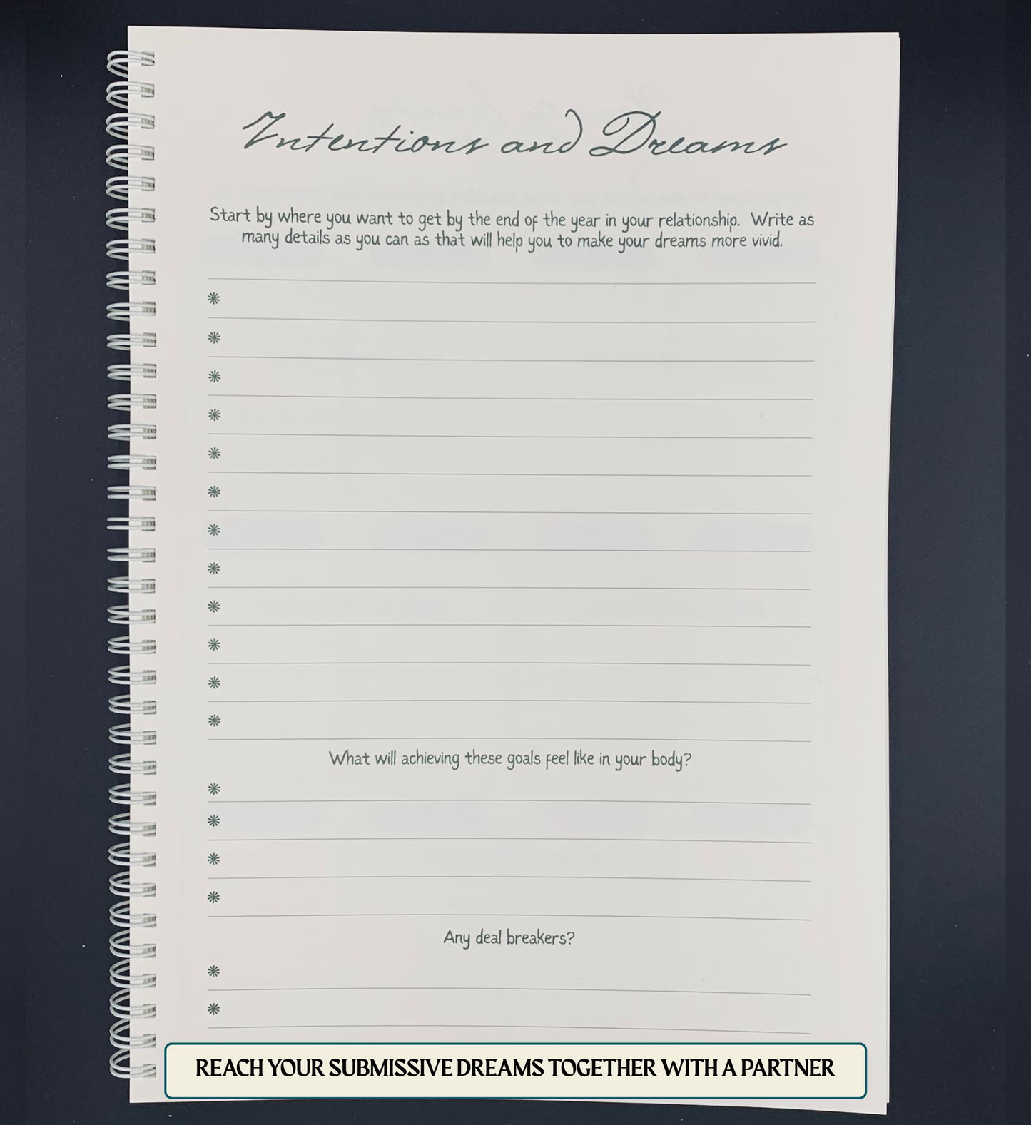 Kink Planner Premium A4 Print