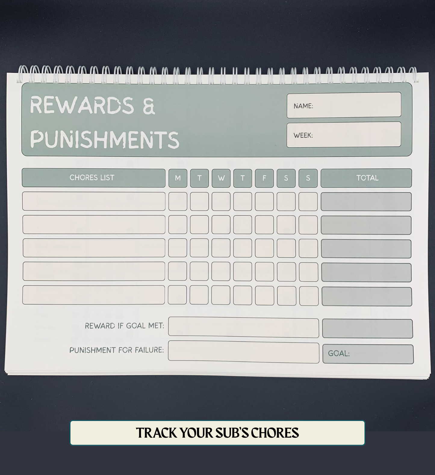 Kink Planner Premium A4 Print