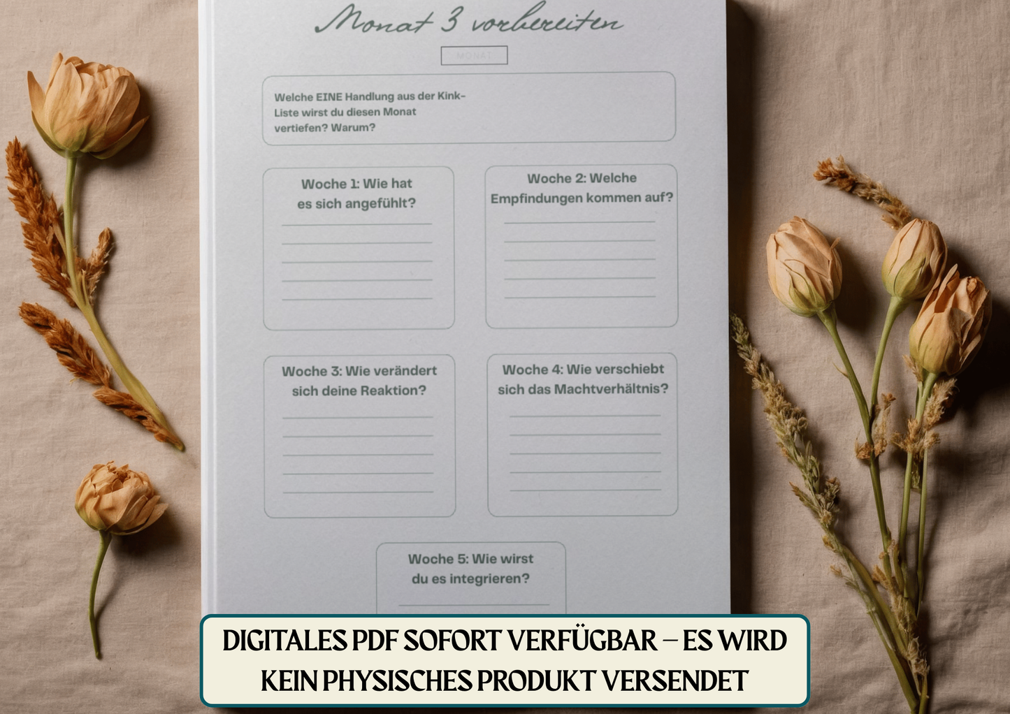 Kink Planer Arbeitsbuch