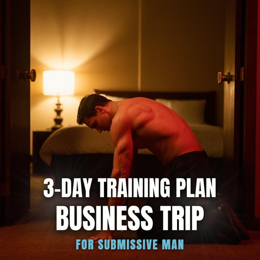 3-Day Business Trip Obedience Training