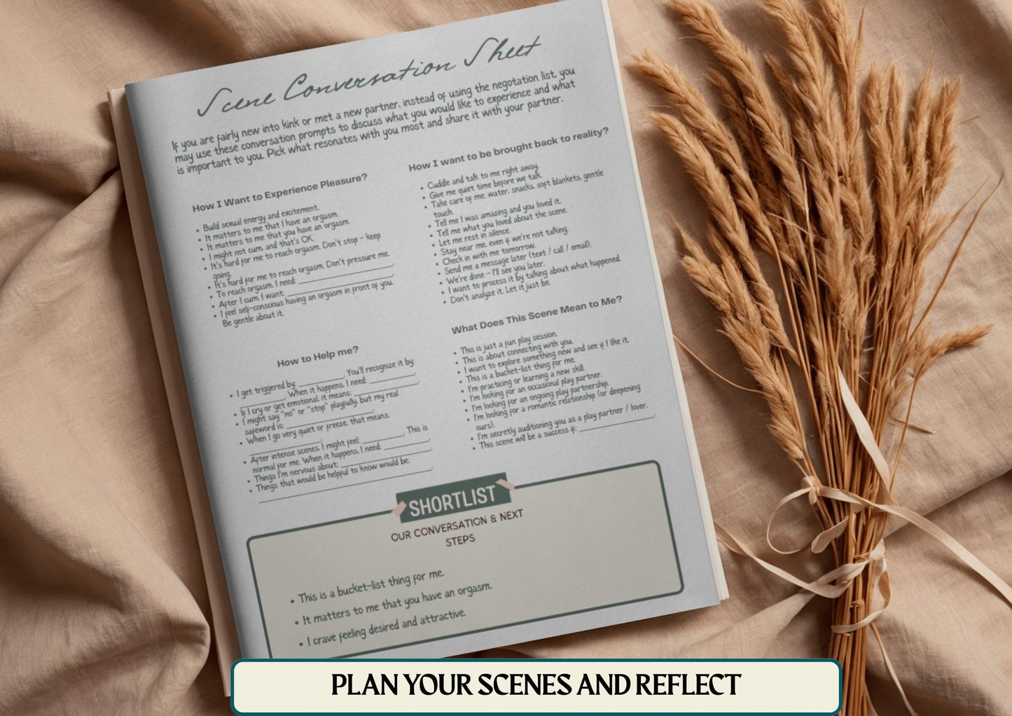 Scene Negotiation Workbook
