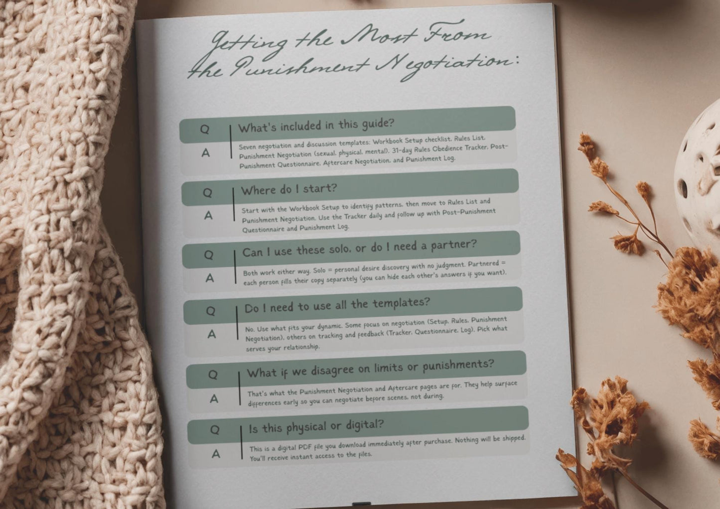 Punishment Negotiation Workbook